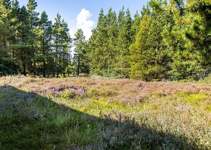 Maija - 1-4km From The Sea By Interhome Molby